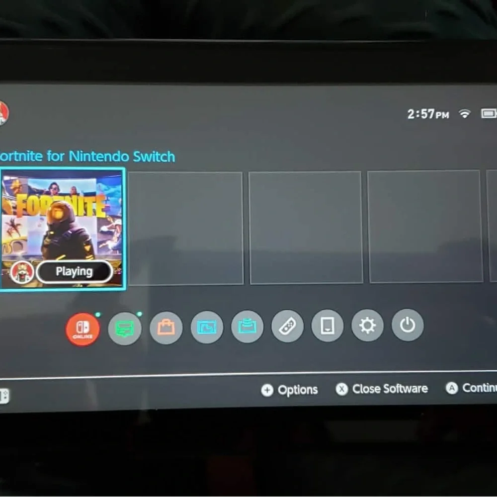 Nintendo Switch Animal Crossing Edition w/Protective Case & adapter